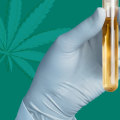 Can cbd test positive on urine test?
