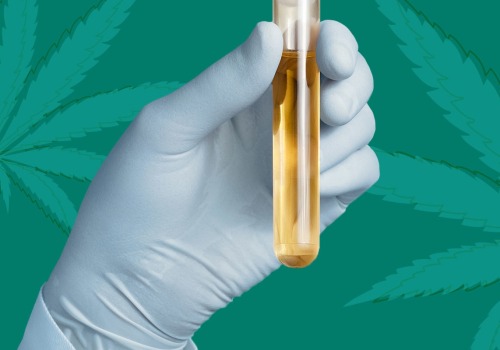 How often does cbd show up on a drug test?